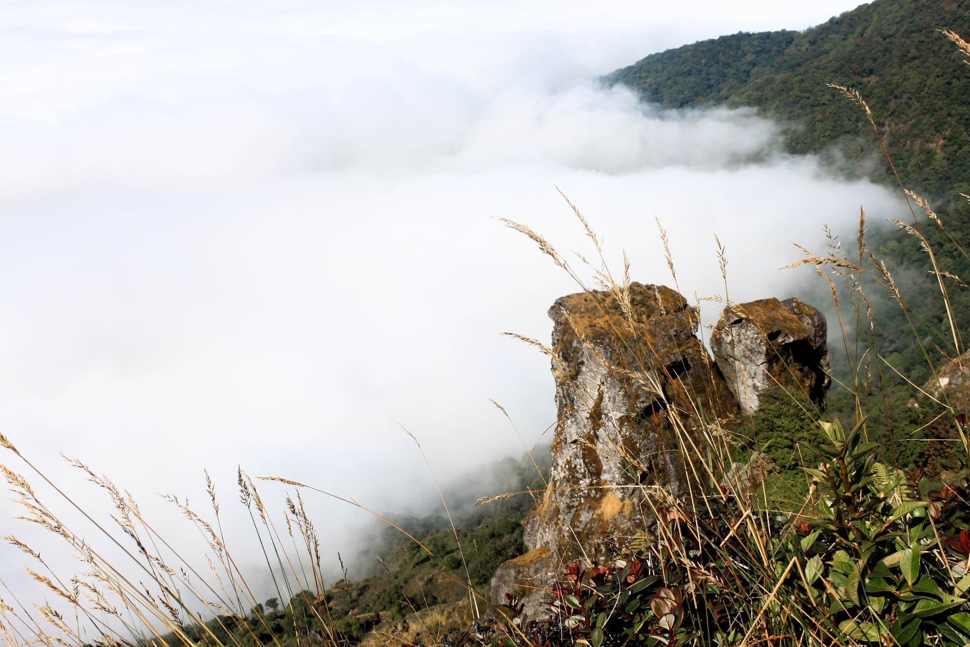 A sea of white mist filling the valley below a grassy ridge on Doi Inthanon